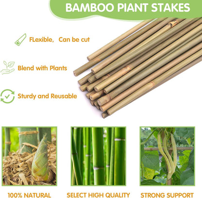 Plant Stakes,4.8FT Longer Sturdy Natural Bamboo Garden Stakes,GAGINANG 20Pcs Bamboo Sticks Trellis