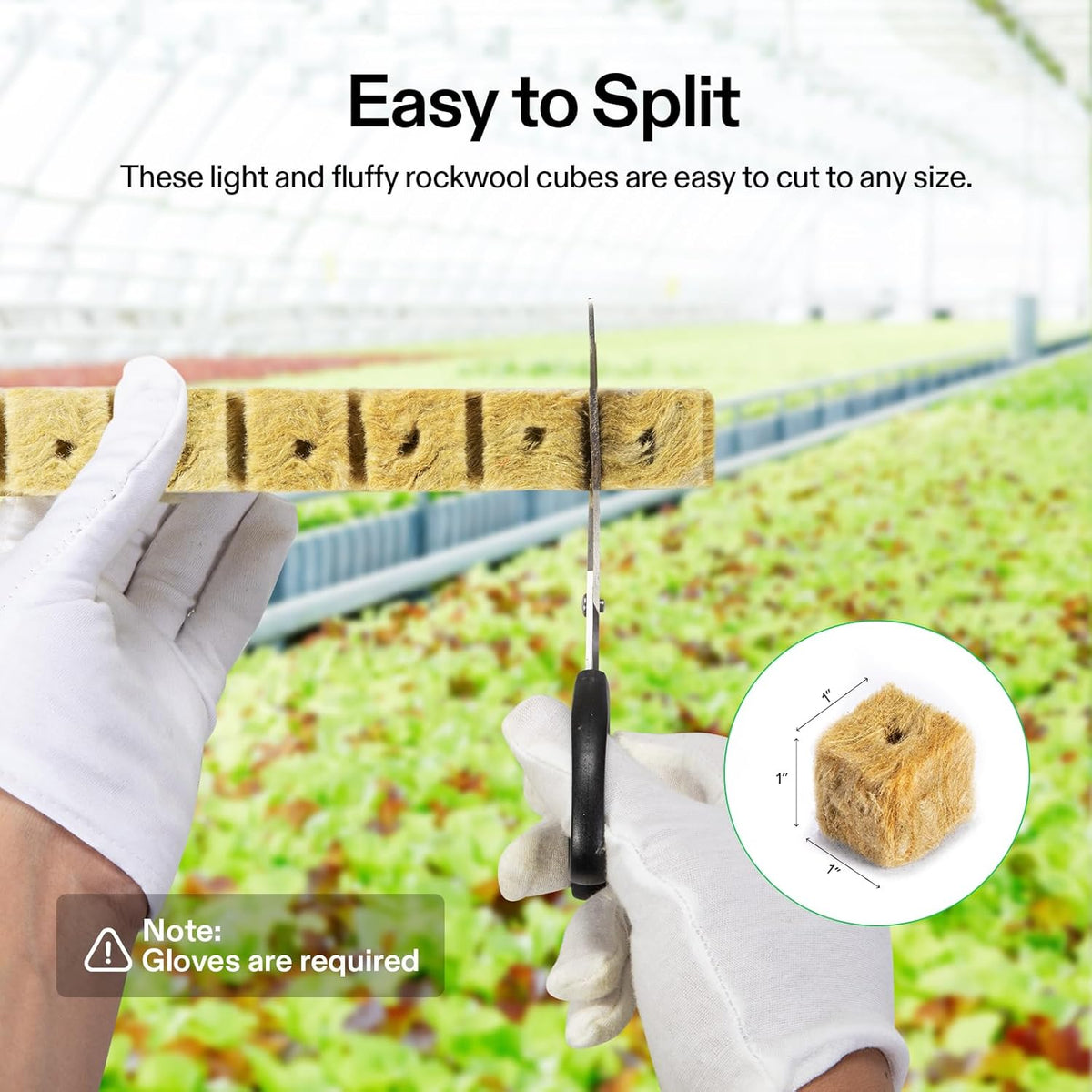 VIVOSUN 1" Rockwool Cubes, 200 Plugs Stonewool Starter Grow Cubes for Cuttings, Cloning, Plant