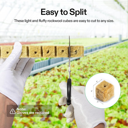 VIVOSUN 1" Rockwool Cubes, 200 Plugs Stonewool Starter Grow Cubes for Cuttings, Cloning, Plant
