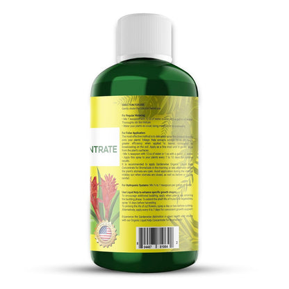 Organic Premium Kelp Seaweed Fertilizer - Bromeliad Fertilizer - Liquid Plant Food, Bromeliad