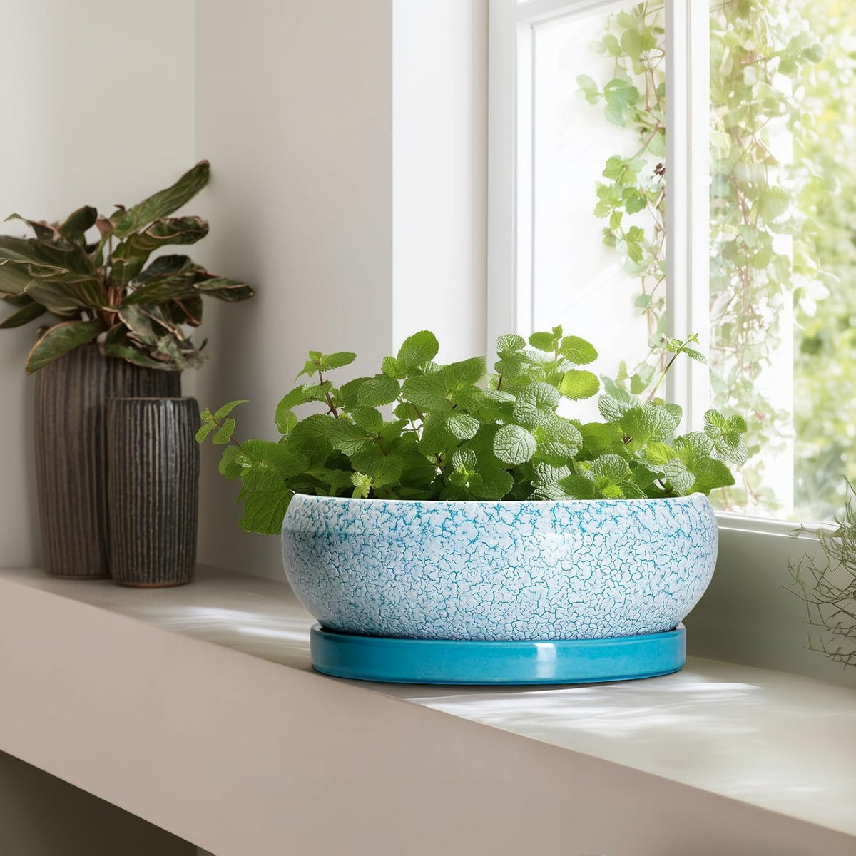 Bonsai Pots - 13 Inch Ceramic Succulent Pots with Drainage Hole and Tray, Large Succulent Planter