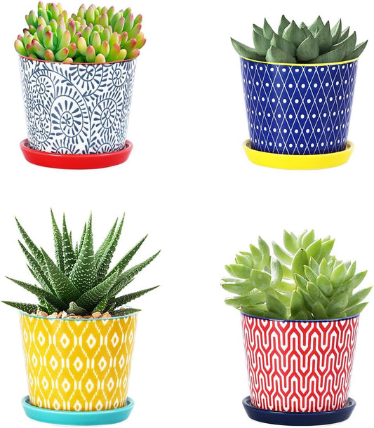 Selamica Ceramic Succulent Pots, 3.4 Inch Small Pots for Plants with Drainage Holes and Saucers