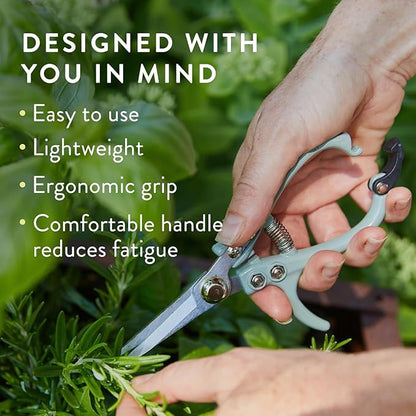 Modern Sprout Pruning Shears - Herb Snipping Scissors- Lightweight Gardening Tools W/Easy Lock