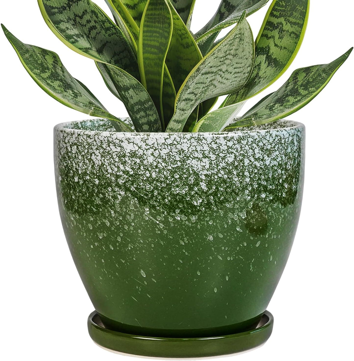 Ceraimc Plant Pot - 6 Inch Planter with Drainage and Plant Tray, Round Succulent Planters