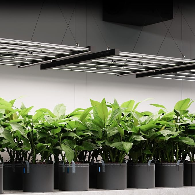 AC Infinity IONFRAME EVO3, Samsung LM301H EVO Bar LED Grow Light 2x4, 840 Diodes, with Schedule