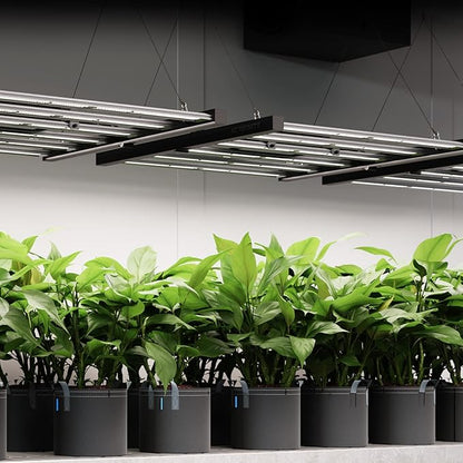 AC Infinity IONFRAME EVO3, Samsung LM301H EVO Bar LED Grow Light 2x4, 840 Diodes, with Schedule