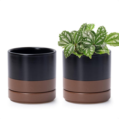 D'vine Dev Set of 2 Plants Pots, 4.7 Inch Ceramic Planter Pot for Plants with Drainage Hole and