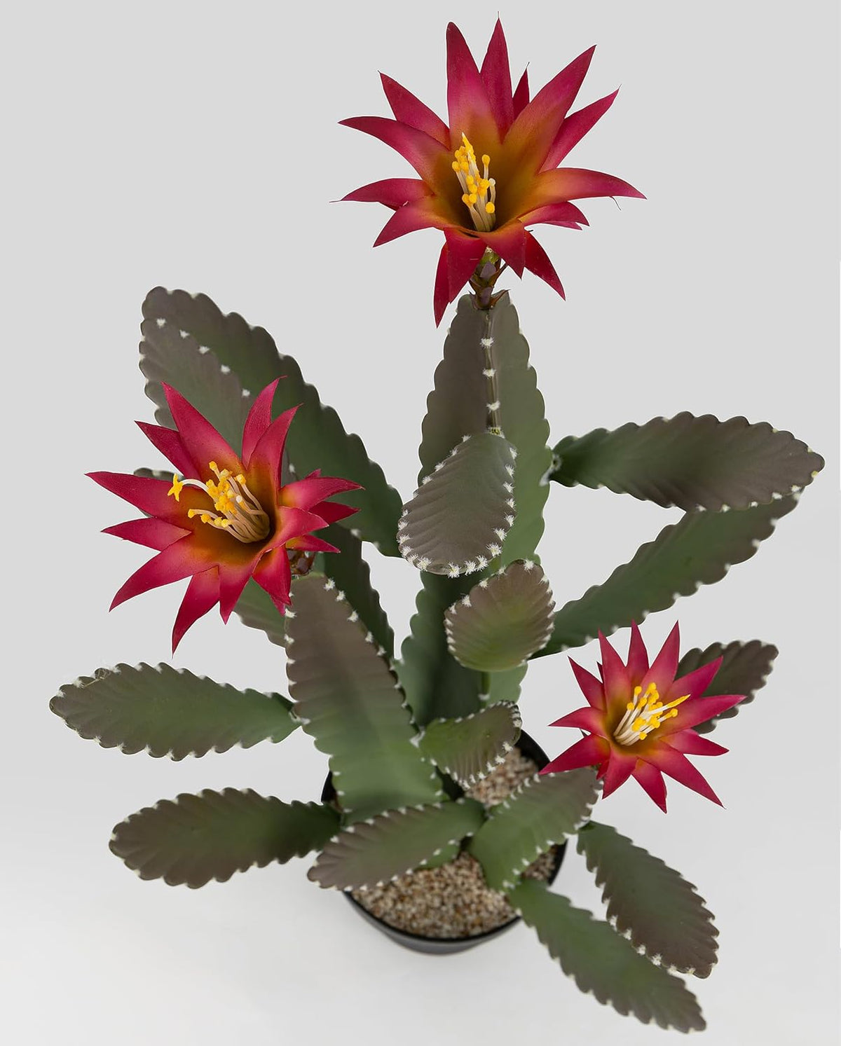 33 Inch Large Artificial Cactus with Magenta Flowers in Pot with Natural Gravel. Satin Finish