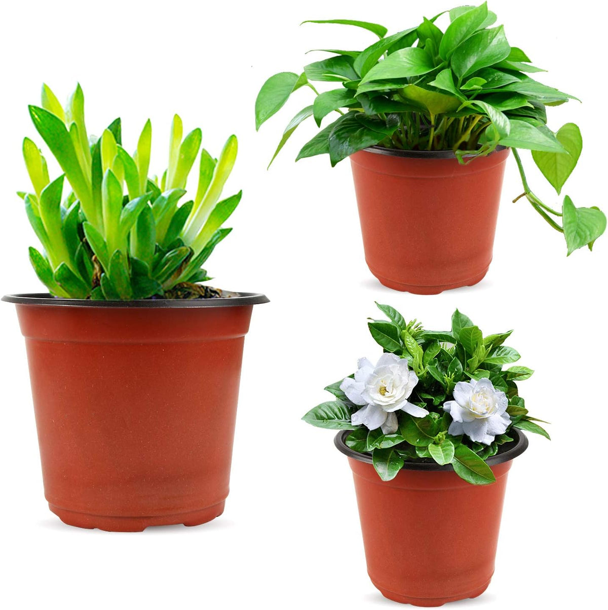Augshy 130 Packs 6 Inches Plastic Plant Nursery Pots, Seed Starting Pot Flower Container for