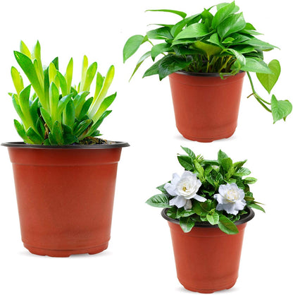 Augshy 130 Packs 6 Inches Plastic Plant Nursery Pots, Seed Starting Pot Flower Container for