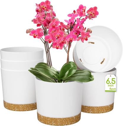 ZMTECH Plant Pots, Set of 6 6.5'' Self Watering Plastic Planter with Drainage Hole and