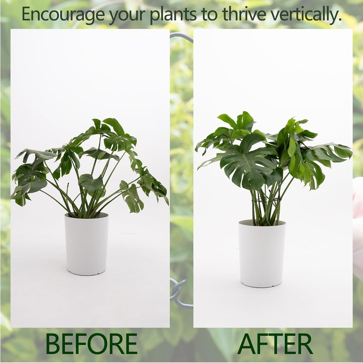 5PCS Monstera Plant Stem Support - 11 * 9.4 Inches, Durable Metal Stake Holder, Adjustable for