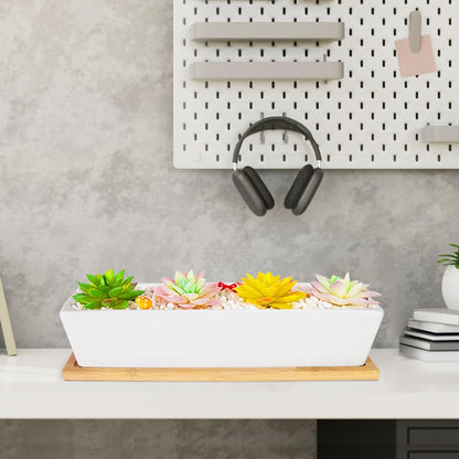 Succulent Pots - 12.1 Inch Large Succulent Pots with Drainage Tray, Window Sill Planter, Long