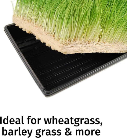 Handy Pantry Micro-Mat Minis Hydroponic Grow Pads - for Organic Production - Plant & Seed