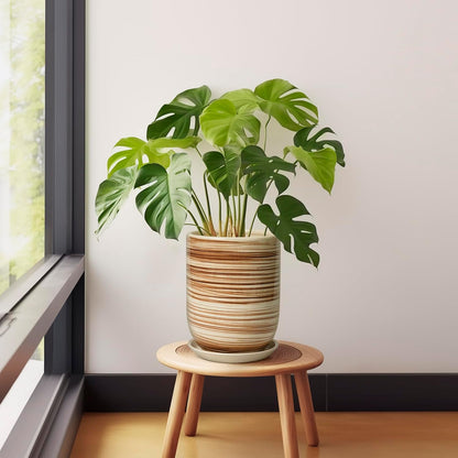8 Inch Plant Pot, Ceramic Planter for Outdoor Plants, Large Plant Pot Indoor with Drainage Hole and