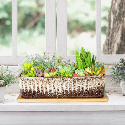 Succulent Pots - 12 Inch Large Succulent Planters with Drainage Tray, Window Sill Planter, Long