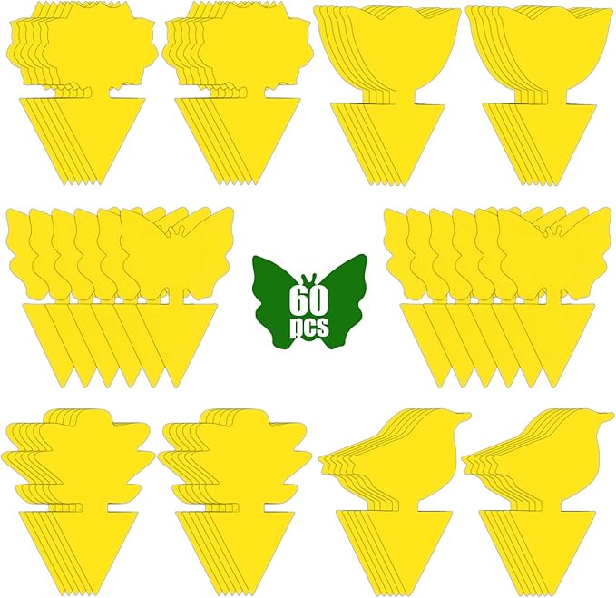 60 Pack Fruit Fly Trap for Indoors, Gnat Traps for House Indoor, Fungus Gnat Killer Sticky Traps