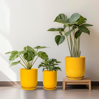12 Inch Pots for Plants - Ceramic Planter for Outdoor Plants Large Plant Pot Indoor with Drainage