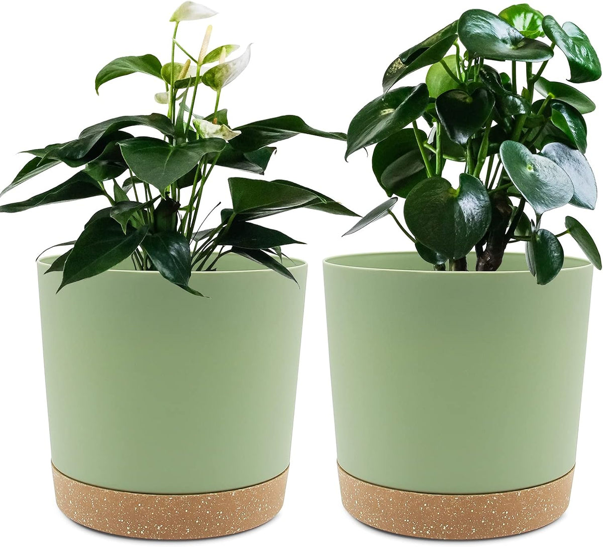 QCQHDU 6.5 inch Plant Pot, 2 Pack Planters for Indoor Plants with Drainage Holes & Saucer, Outdoor