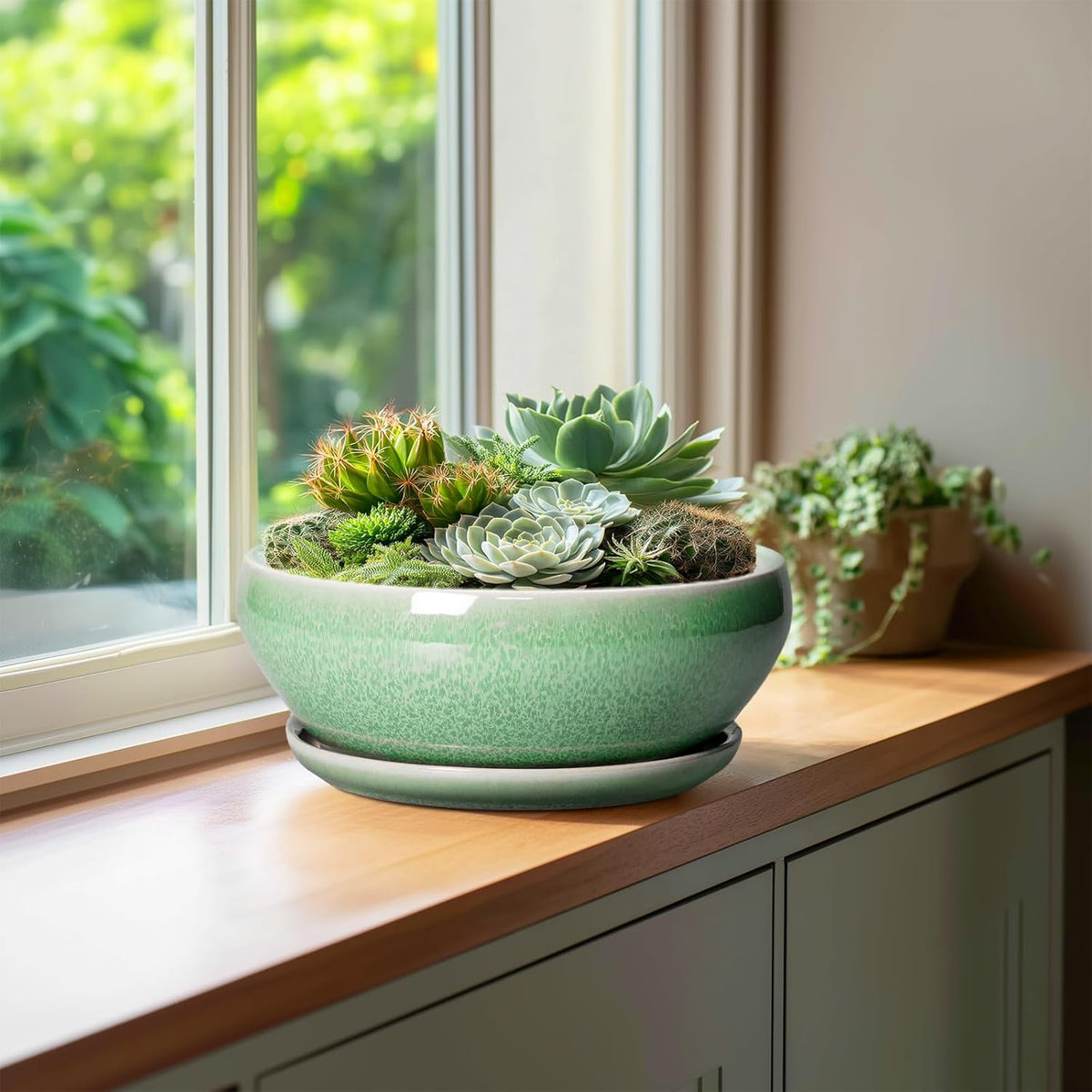 SQOWL Bonsai Pots - 10 Inch Ceramic Succulent Pots with Drainage Hole and Saucer, Shallow Planter