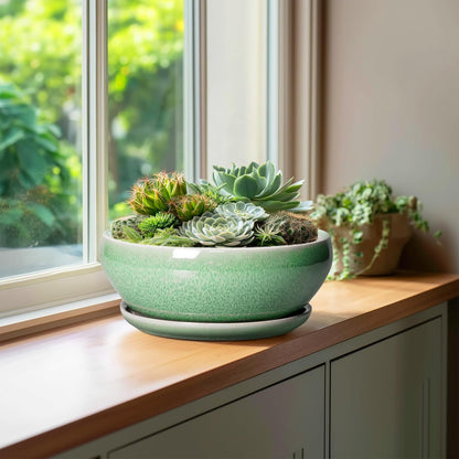 SQOWL Bonsai Pots - 10 Inch Ceramic Succulent Pots with Drainage Hole and Saucer, Shallow Planter