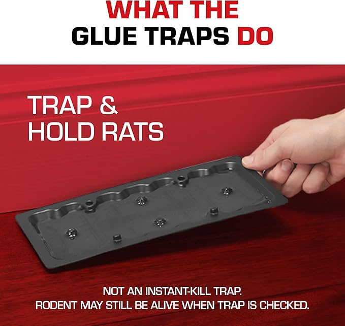 Tomcat Glue Traps Rat Size with Eugenol for Enhanced Stickiness, 2 Traps/Pack (12-Pack)