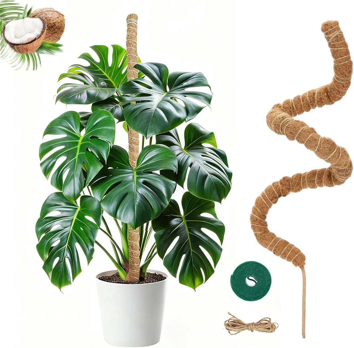 Moss Pole,63 Inch Monstera Plant Support, Upgraded 7mm Aluminum core Moss Poles for Climbing Indoor