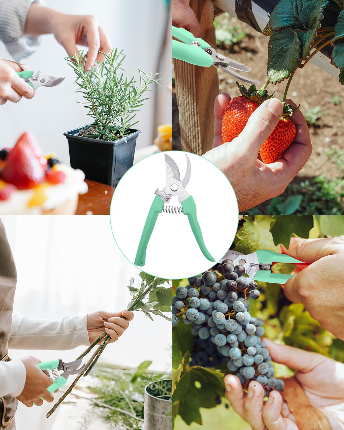Pruning Shears for Gardening, 4 Pack Garden Scissors for Cutting Fresh Flowers, Floral Clippers for