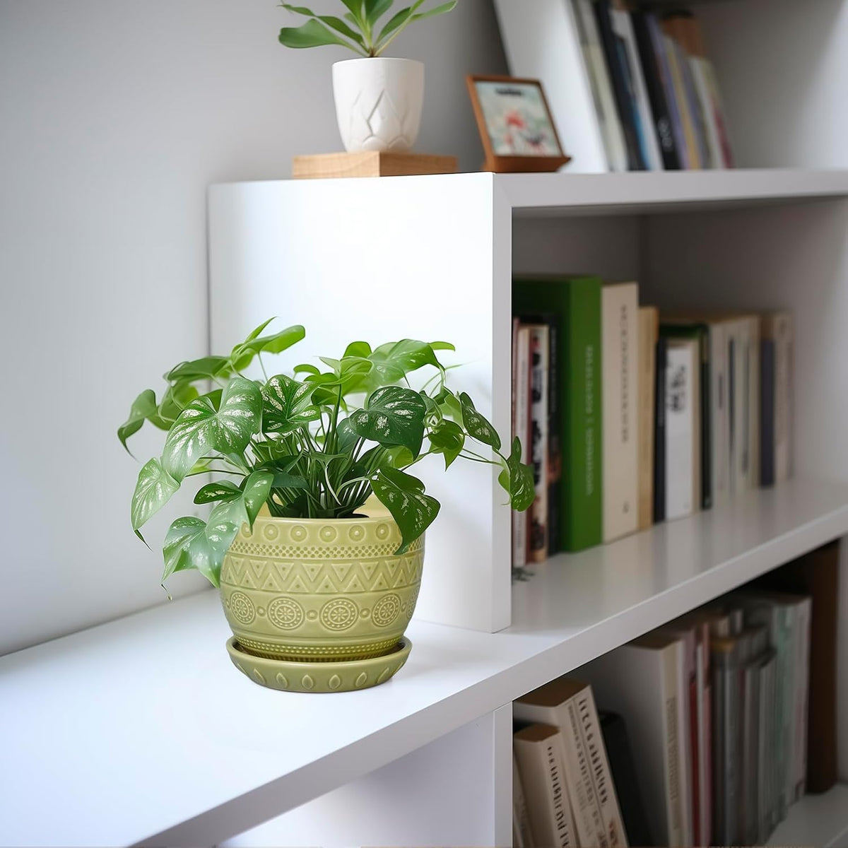 G EPGardening Indoor Plant Pot 5.5 Inch - Ceramic Planter with Drainage Hole and Saucer, Round Boho