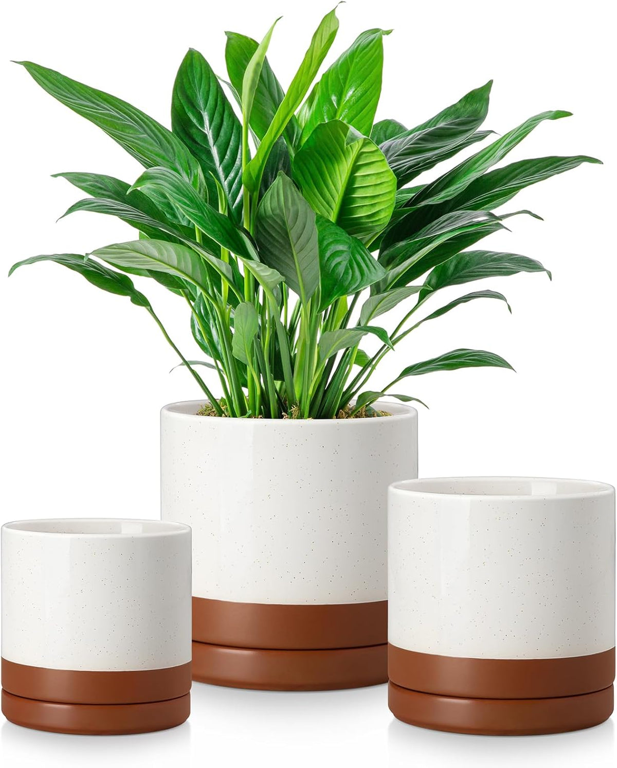 vancasso Ceramic Plant Pots, 3 Piece Planters for Indoor Plants, 4.25+5.25+6.25 Inch Flower Pots