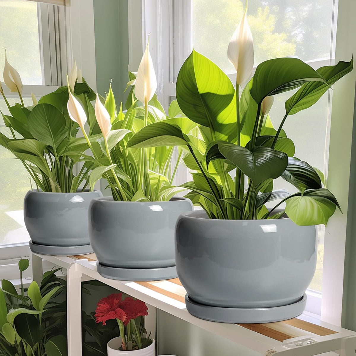 SQOWL Ceramic Pot for Plants - 8 Inch Plant Pot Indoor with Drainage Hole and Saucer, Round Planter