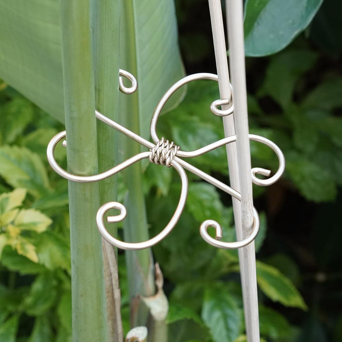 5PCS Monstera Plant Support System 4.1IN - Durable Hook Stem Supports for Healthy Growth