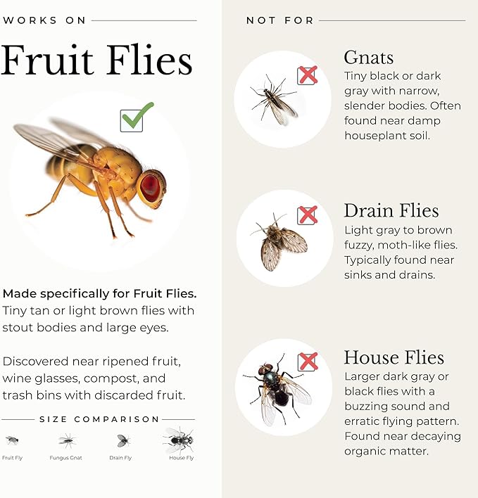 Wondercide - Fruit Fly Traps for Indoors - Fruit Fly Killer - Pet and People Safe - Made in USA &