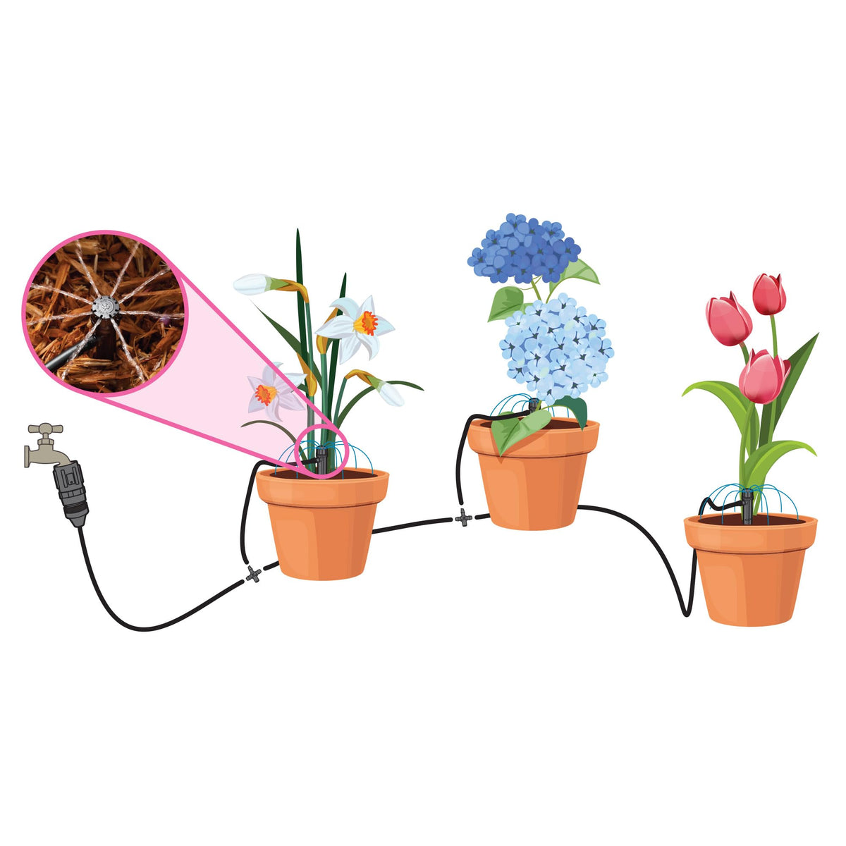 Rain Bird POTTEDKIT Drip Irrigation Kit, Full Circle, 1/4"