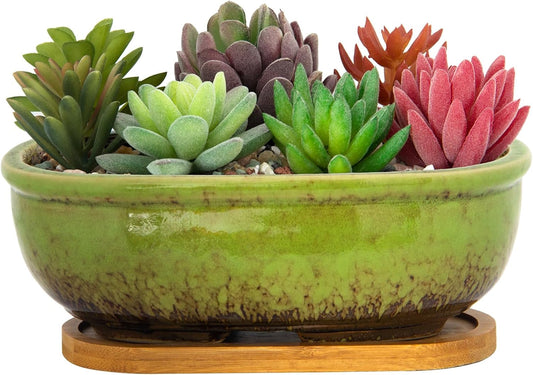 Succulent Pots, 7.9 Inch Long Rectangular Succulent Planters with Drainage Tray, Shallow Planters