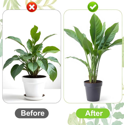 Reusable Plant Stem Supports for Indoor Plants - 4 Sizes, Durable Plastic Holders Easy Clip Hooks