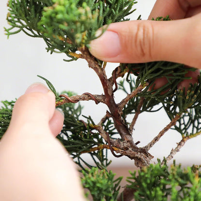 Wazakura Annealed Copper Bonsai Training Wire Made in Japan, Rust Resistant Outdoor Plant Cable