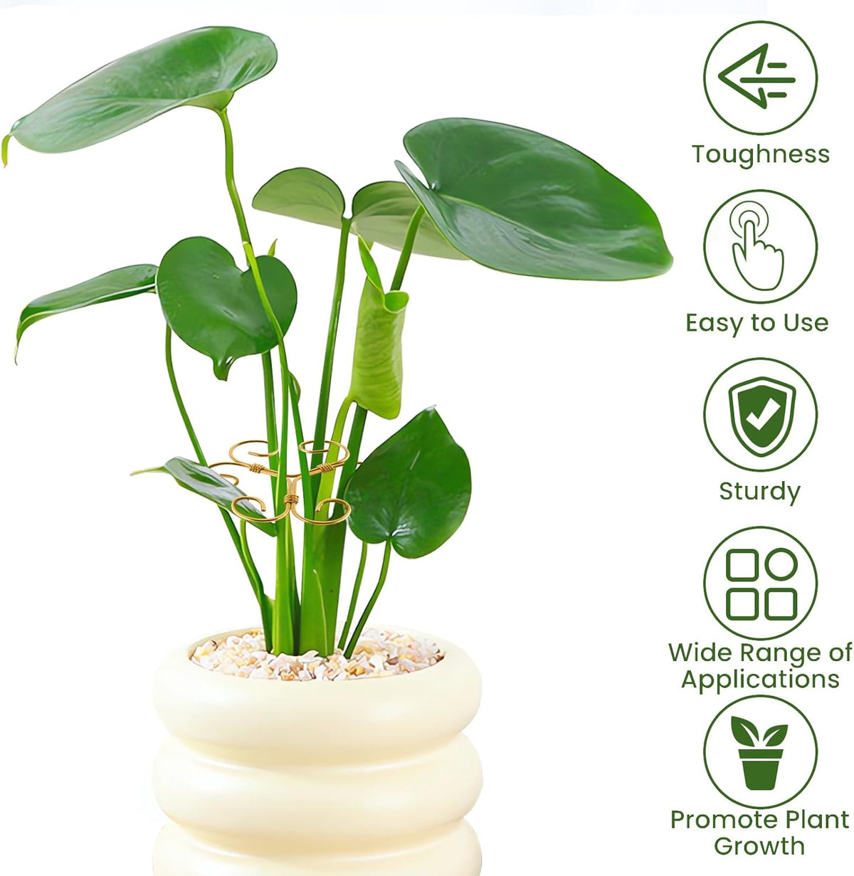 5PCS Iron Monstera Plant Support, Plant Stem Support, Turtle Shell Bamboo Clamp Set, Stable Plant