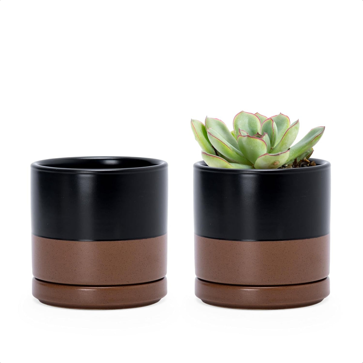 D'vine Dev Set of 2 Plants Pots, 3.5 Inch Ceramic Planter Pot for Plants with Drainage Hole and