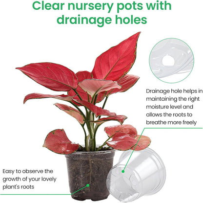 36 Packs 6.7/5/4/3.5 Inch Reinforced Clear Nursery Pots with Drainage Hole, Transparent Variety