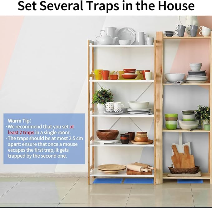 LULUCATCH Mouse Traps 14 Pack, Heavy Duty Mouse Traps Indoor for Home, Rat Trap for Mice & Snakes