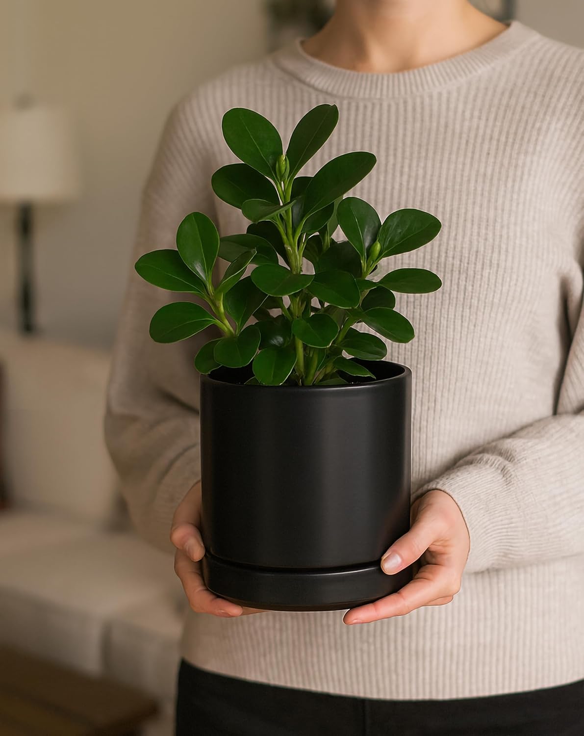 D'vine Dev 6.5 Inch Ceramic Planter Pot with Drainage Hole and Saucer, Indoor Cylinder Round Flower