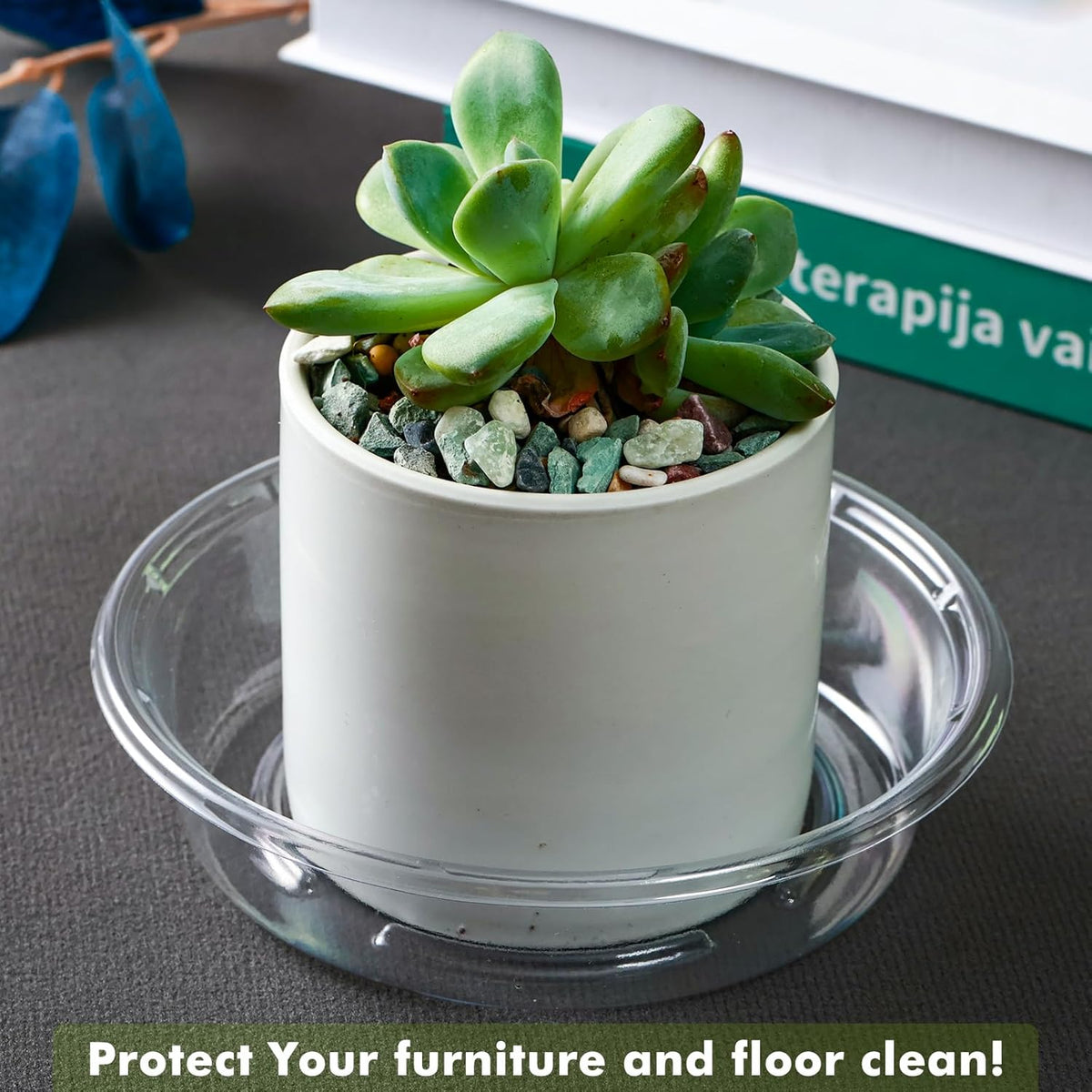 Plant Saucer 50 Pack Plant Trays for Pots 4 Inch Plastic Plant Saucers for Outdoors and Indoors