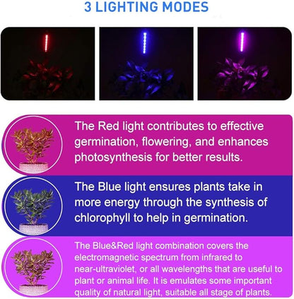 LED Grow Lights for Indoor Plants 20 LED, Plant Growing Lights Full Spectrum Auto ON Off with