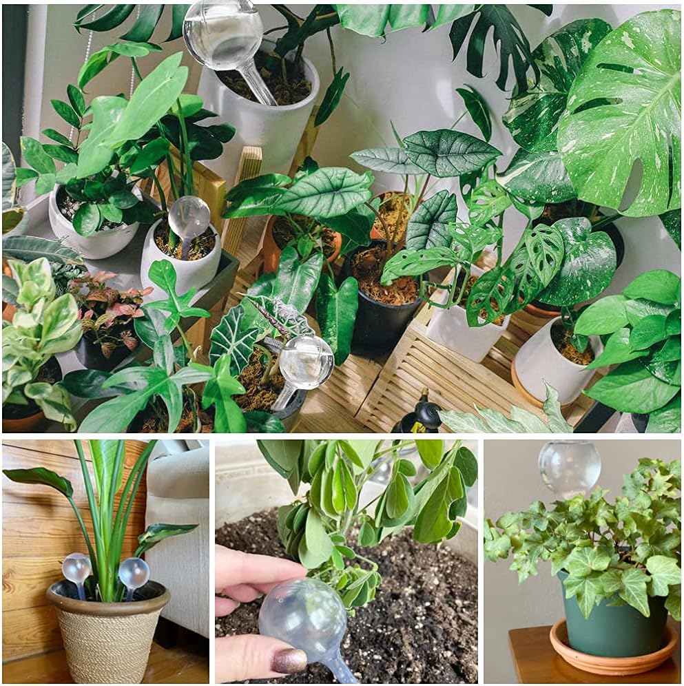 10 Pcs Clear Plant Watering Globes,Plastic Self-Watering Bulbs,Flower Automatic Watering