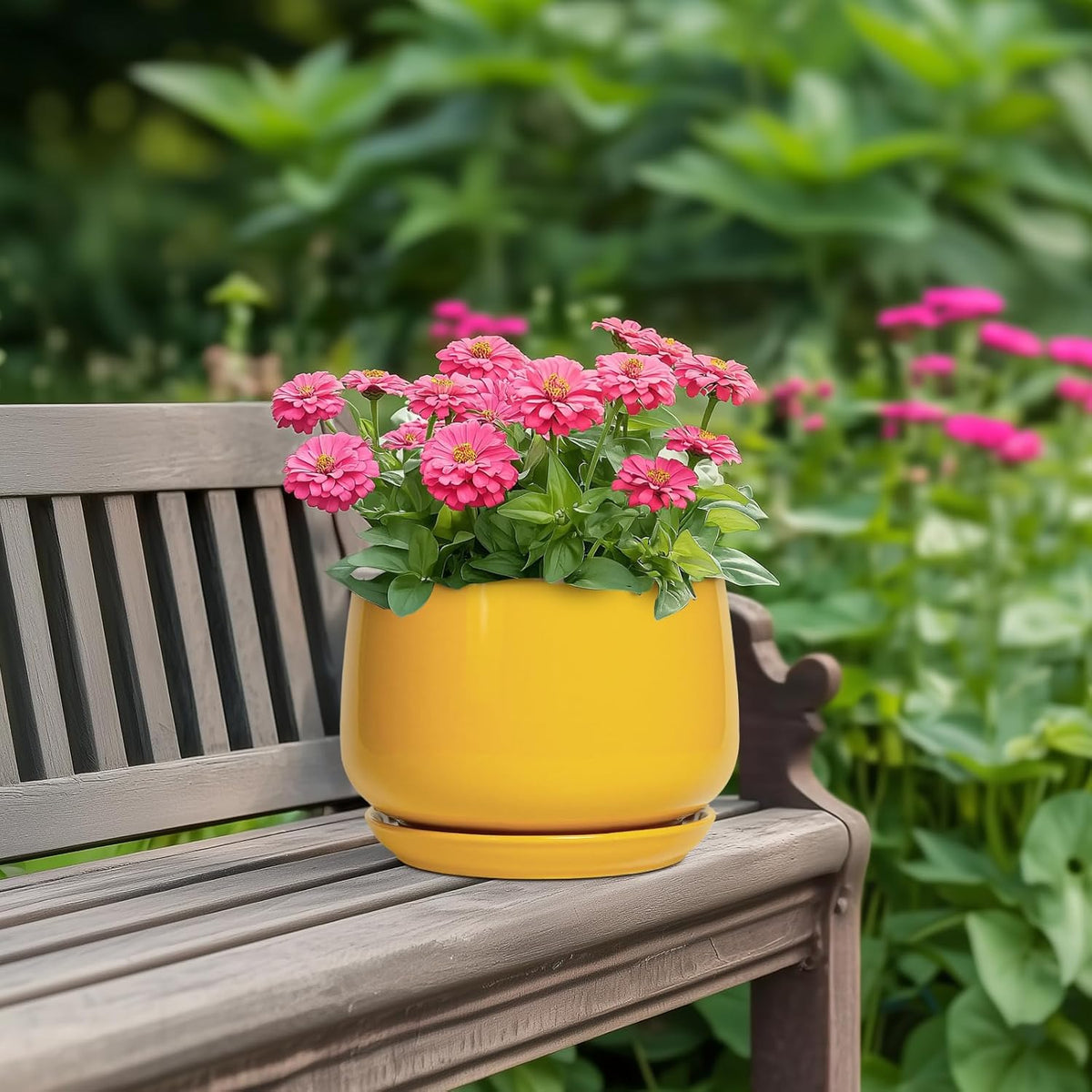 G EPGardening Ceramic Pots for Plants - 7 Inch Plant Pot with Drainage Hole and Saucer, Modern