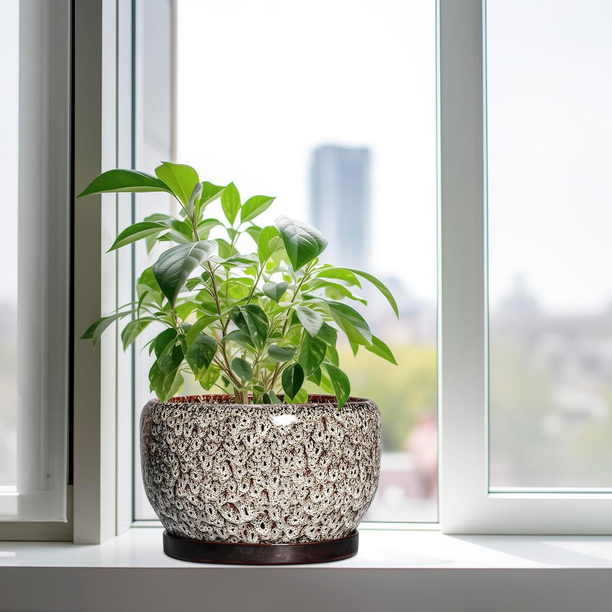 SQOWL Ceramic Plant Pots - 10 Inch Planter for Indoor Plants Outdoor, Large Flower Pots with