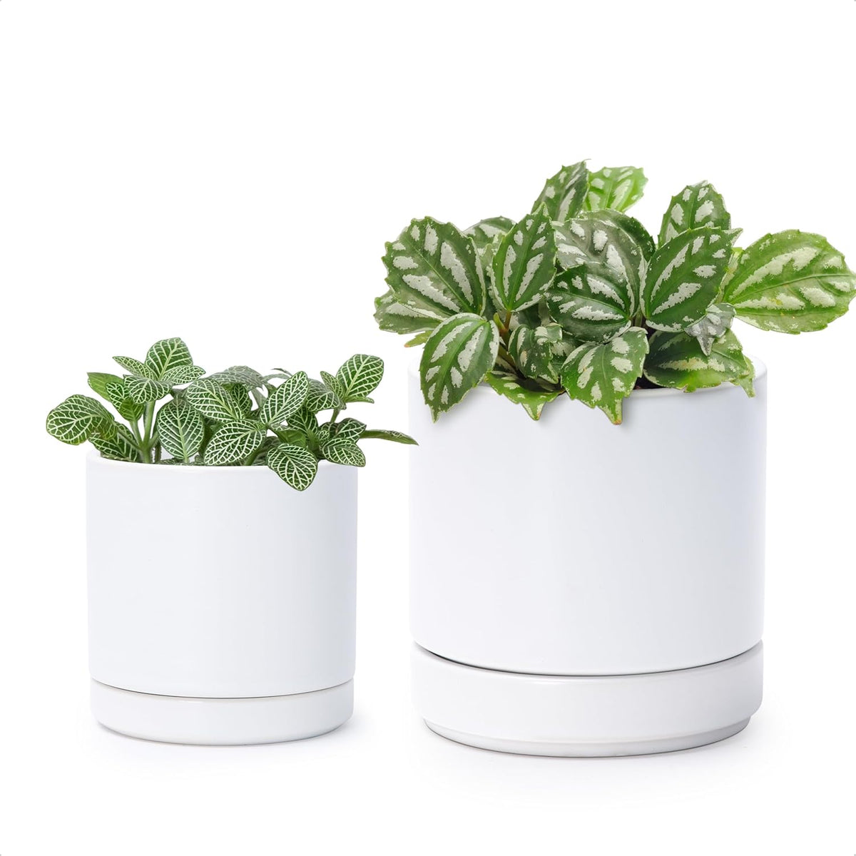 D'vine Dev 3.5 Inch & 4.7 Inch Ceramic Planter Pots for Plants with Drainage Hole and Saucer