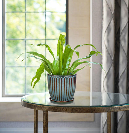 Oairse Ceramic Pots for Indoor Plants, 4.9 +5.7 inch Pots for Plants Set of 2 Marble Blue Plant