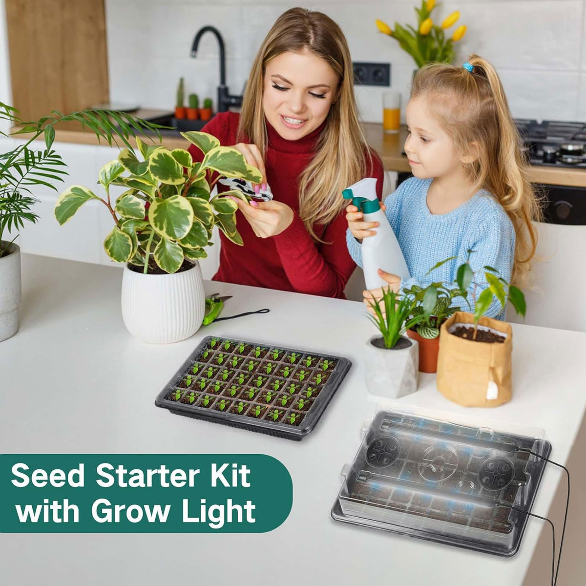 Seed Starter Tray with Grow Light, 2 Packs 80 Cells Seed Starting Kit, Reusable Seedling Starter